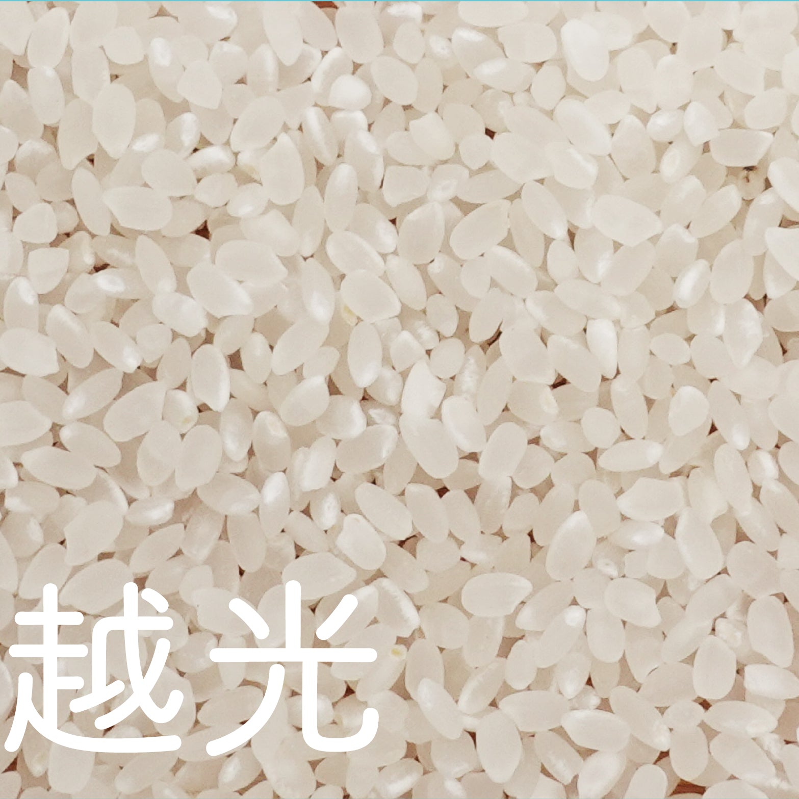 熊野園｜令和２年新米コシヒカリ（２kg）｜丹波篠山